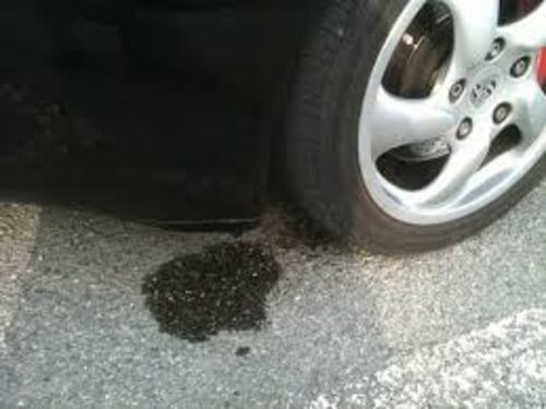 Imagen #1 de Manfred V.