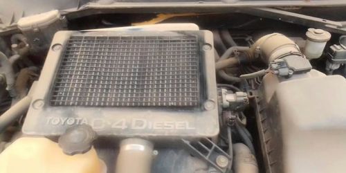 Imagen #1 de Paolo L.