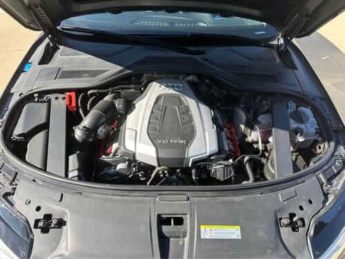 Imagen #1 de Gonzalo P.